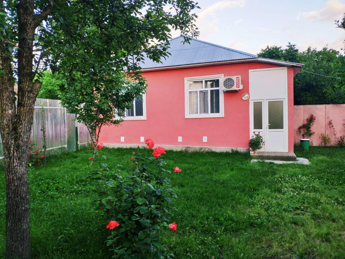 Qafqaz Resort Family House Gabala Eksteriør bilde