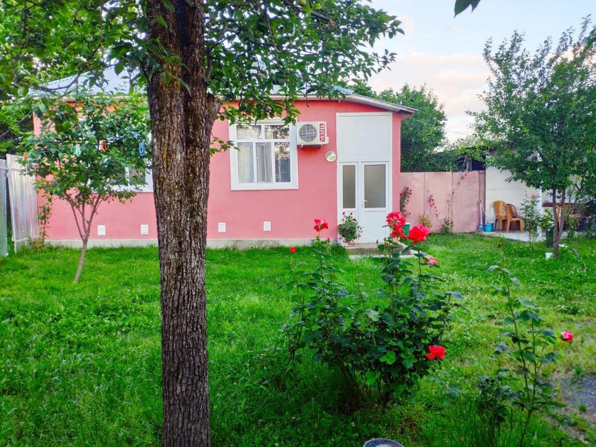 Qafqaz Resort Family House Gabala Eksteriør bilde